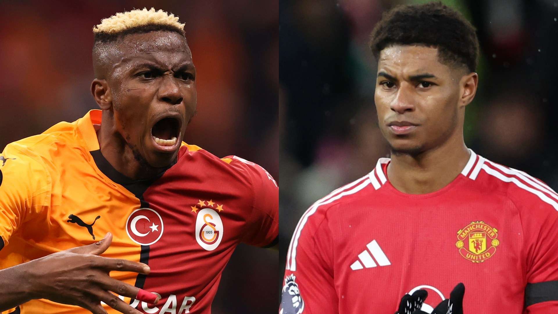 切如何在各 切如何在各