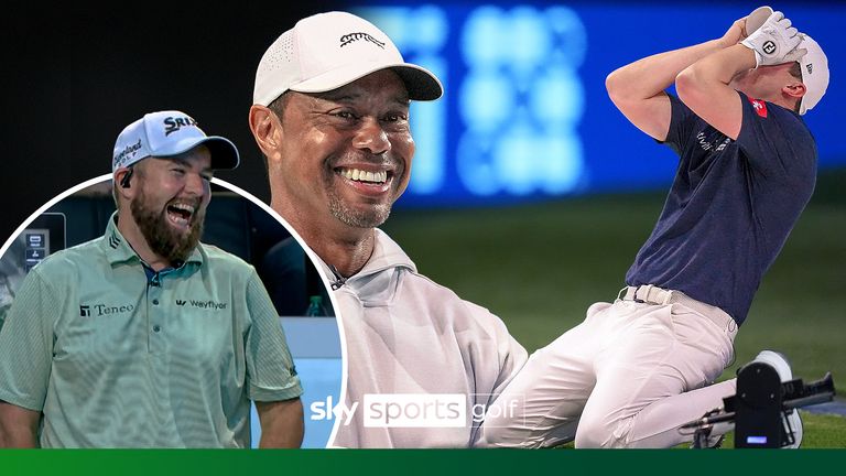 也可类比 也可类比